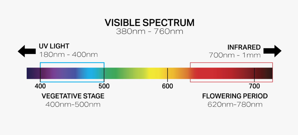 BIOS_Visible-Spectrum-cropped-980x443.png (39 KB)