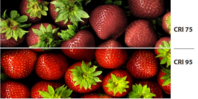 Strawberries-w-CRI-notations.jpg (110 KB)