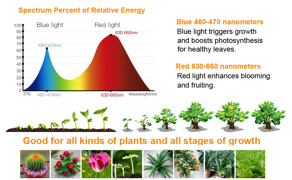 Đèn led thông thường có thể trồng cây trong nhà được không?